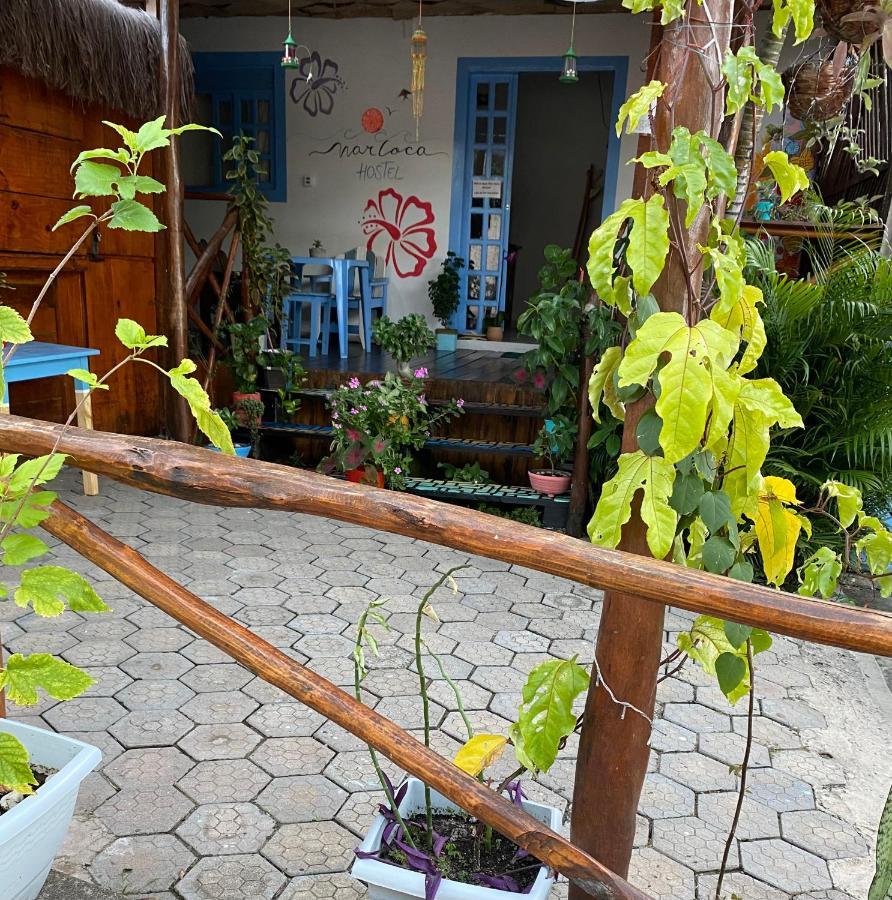 Aurora Hostel Praia de Pipa Exteriér fotografie