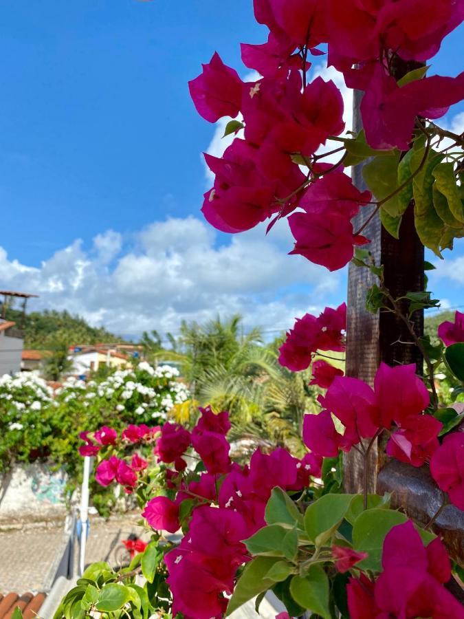 Aurora Hostel Praia de Pipa Exteriér fotografie